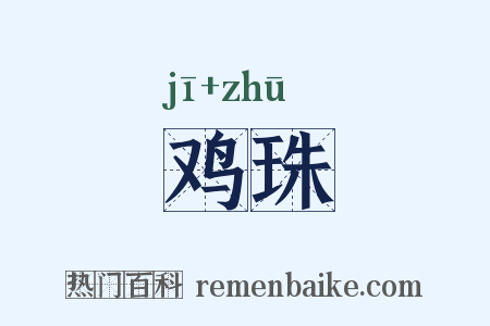 鸡珠是什么意思的图片